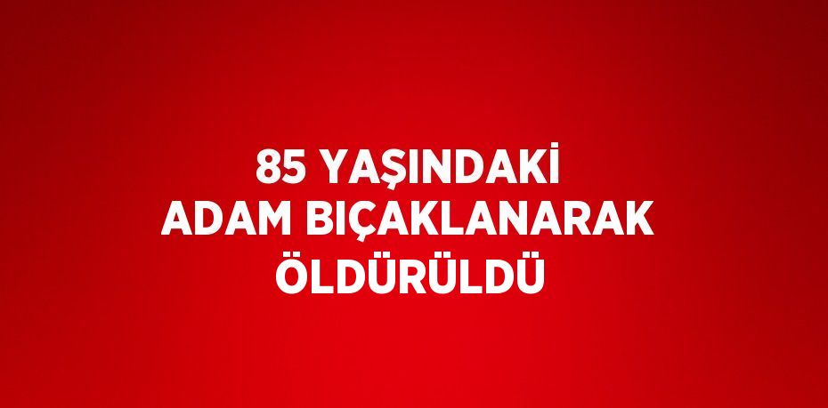 85 YAŞINDAKİ ADAM BIÇAKLANARAK ÖLDÜRÜLDÜ