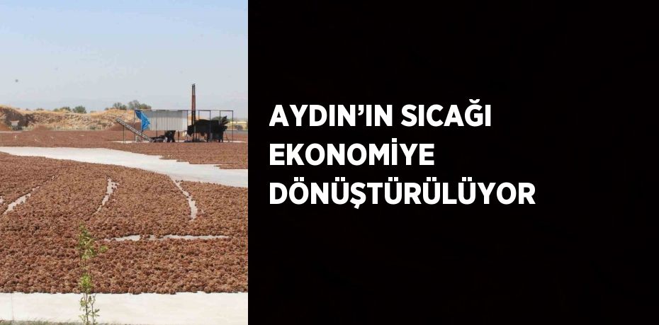 AYDIN’IN SICAĞI EKONOMİYE DÖNÜŞTÜRÜLÜYOR