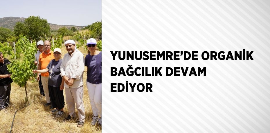 YUNUSEMRE’DE ORGANİK BAĞCILIK DEVAM EDİYOR