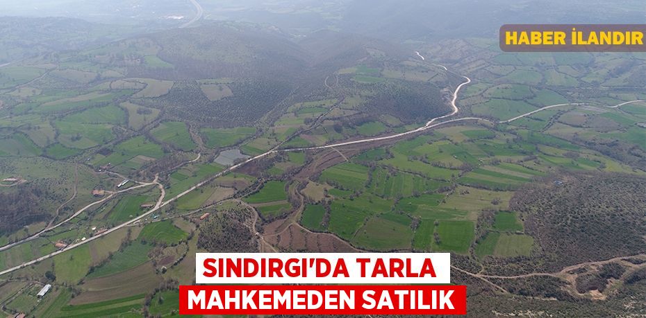Sındırgı'da tarla mahkemeden satılık