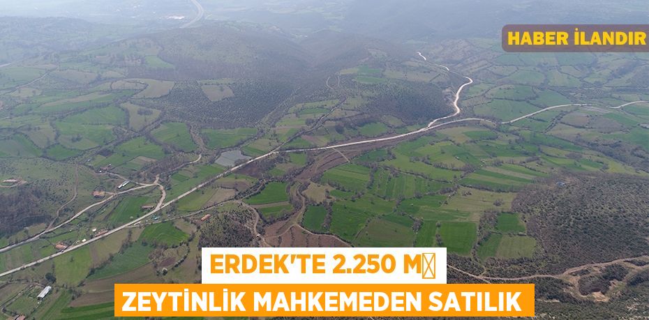 Erdek'te 2.250 m² zeytinlik mahkemeden satılık
