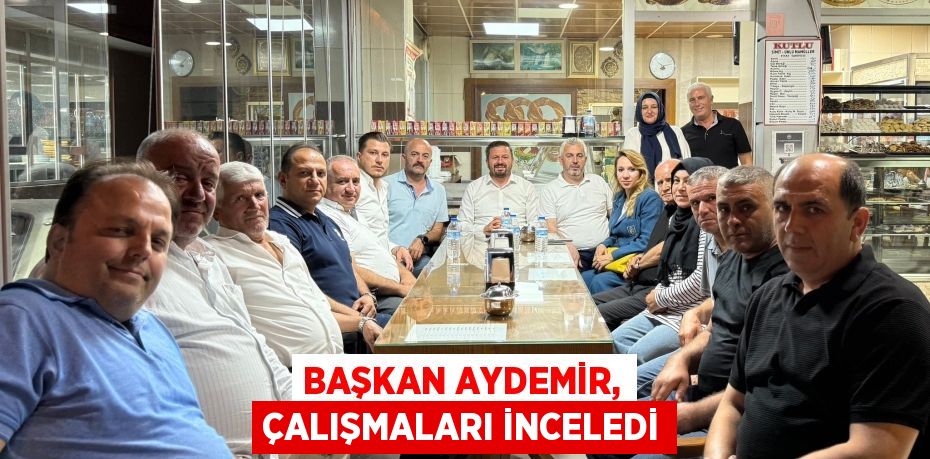 Başkan Aydemir, çalışmaları inceledi
