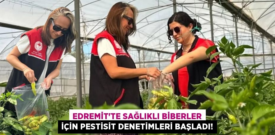 Edremit'te Sağlıklı Biberler İçin Pestisit Denetimleri Başladı!