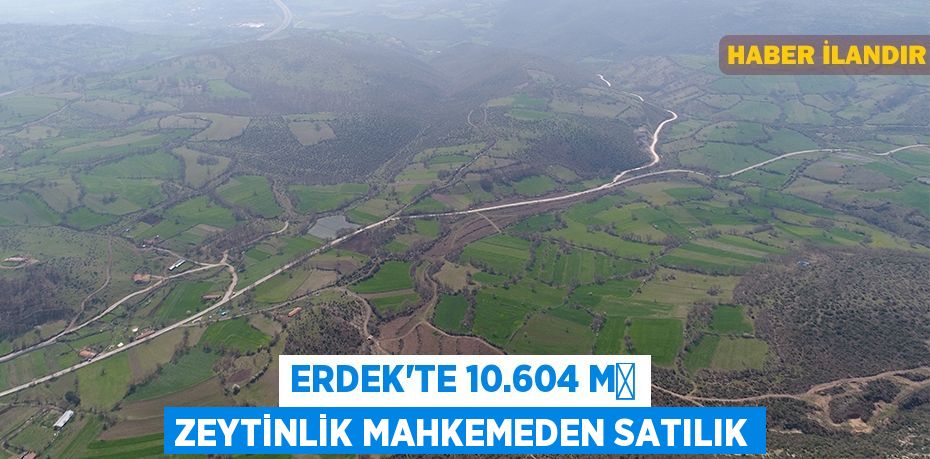 Erdek'te 10.604 m² zeytinlik mahkemeden satılık