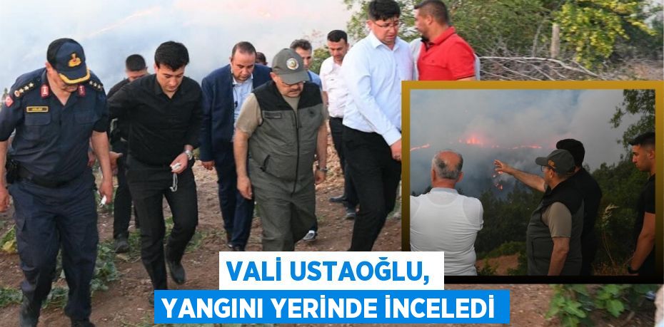 Vali Ustaoğlu, yangını yerinde inceledi
