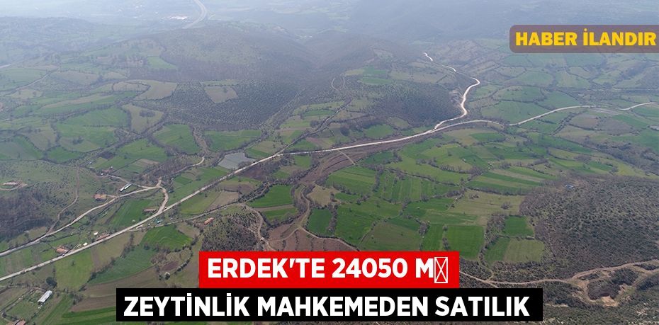 Erdek'te 24050 m² zeytinlik mahkemeden satılık