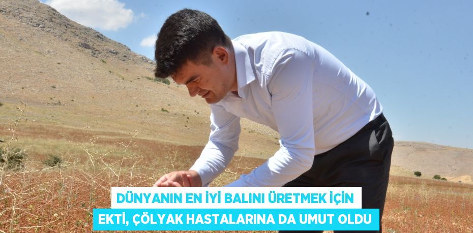 Dünyanın en iyi balını üretmek için ekti, çölyak hastalarına da umut oldu