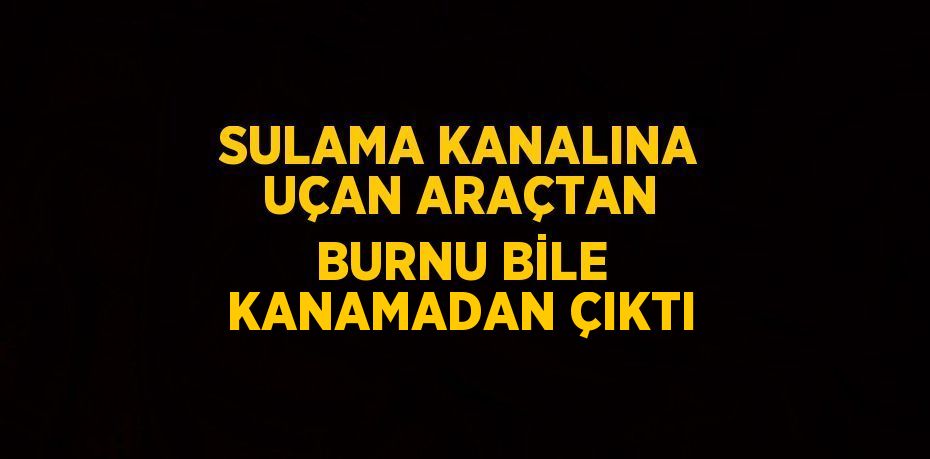 SULAMA KANALINA UÇAN ARAÇTAN BURNU BİLE KANAMADAN ÇIKTI