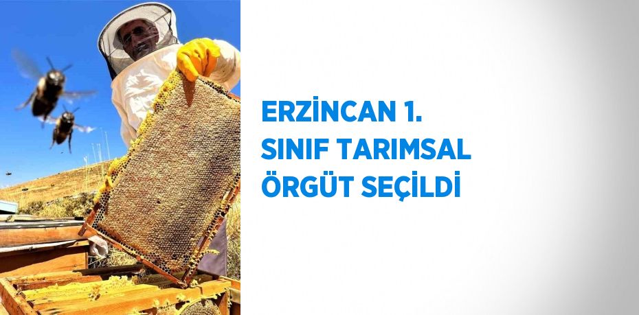 ERZİNCAN 1. SINIF TARIMSAL ÖRGÜT SEÇİLDİ