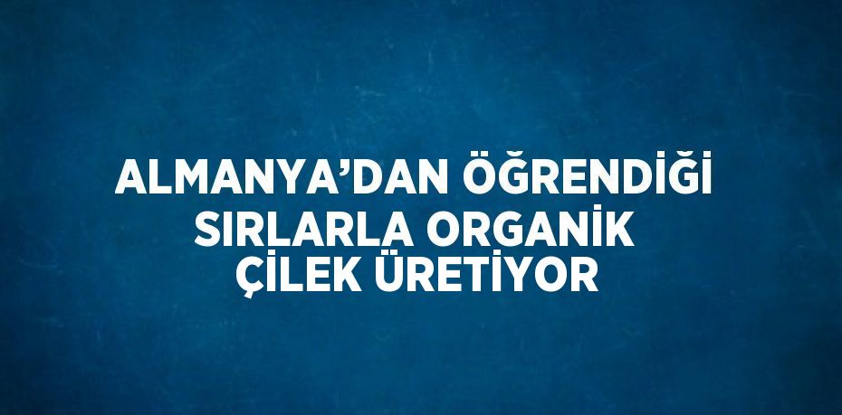 ALMANYA’DAN ÖĞRENDİĞİ SIRLARLA ORGANİK ÇİLEK ÜRETİYOR