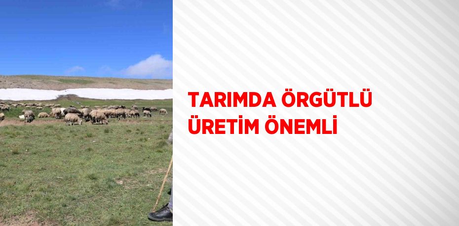 TARIMDA ÖRGÜTLÜ ÜRETİM ÖNEMLİ