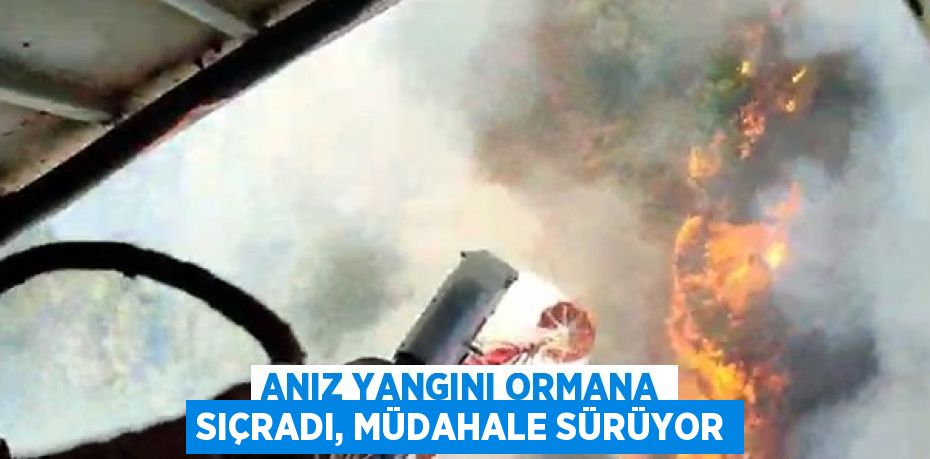 ANIZ YANGINI ORMANA SIÇRADI, MÜDAHALE SÜRÜYOR