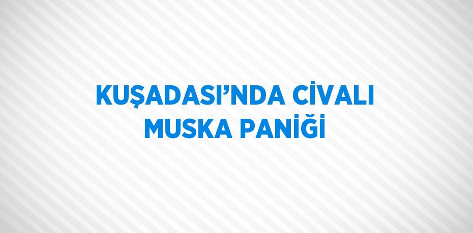 KUŞADASI’NDA CİVALI MUSKA PANİĞİ