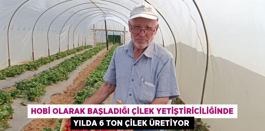 HOBİ OLARAK BAŞLADIĞI ÇİLEK YETİŞTİRİCİLİĞİNDE YILDA 6 TON ÇİLEK ÜRETİYOR