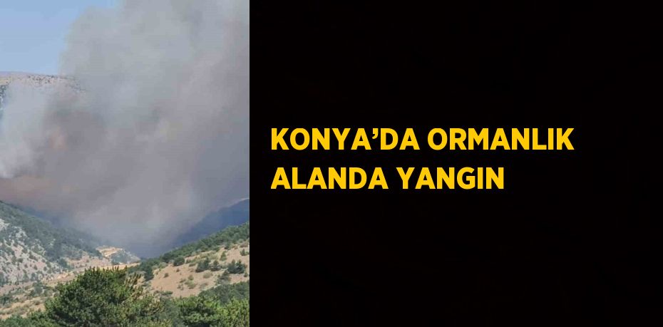 KONYA’DA ORMANLIK ALANDA YANGIN