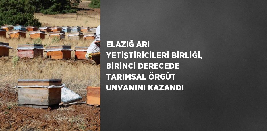 ELAZIĞ ARI YETİŞTİRİCİLERİ BİRLİĞİ, BİRİNCİ DERECEDE TARIMSAL ÖRGÜT UNVANINI KAZANDI