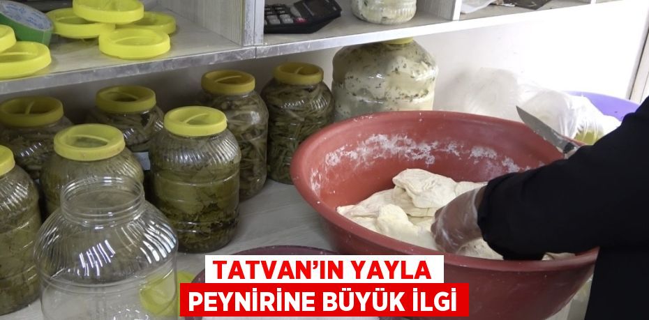 TATVAN’IN YAYLA PEYNİRİNE BÜYÜK İLGİ