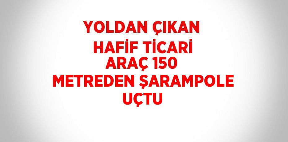 YOLDAN ÇIKAN HAFİF TİCARİ ARAÇ 150 METREDEN ŞARAMPOLE UÇTU