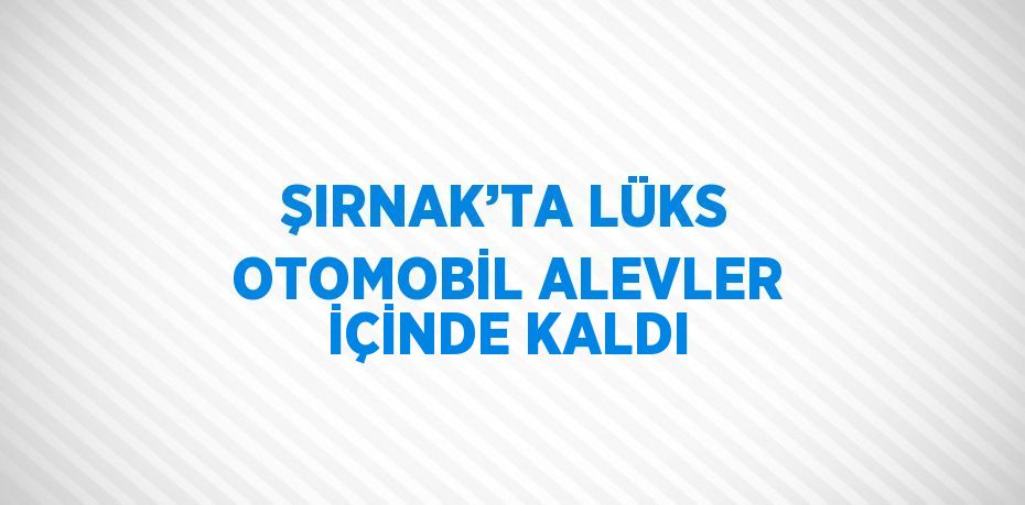 ŞIRNAK’TA LÜKS OTOMOBİL ALEVLER İÇİNDE KALDI