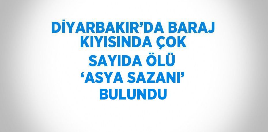 DİYARBAKIR’DA BARAJ KIYISINDA ÇOK SAYIDA ÖLÜ ‘ASYA SAZANI’ BULUNDU