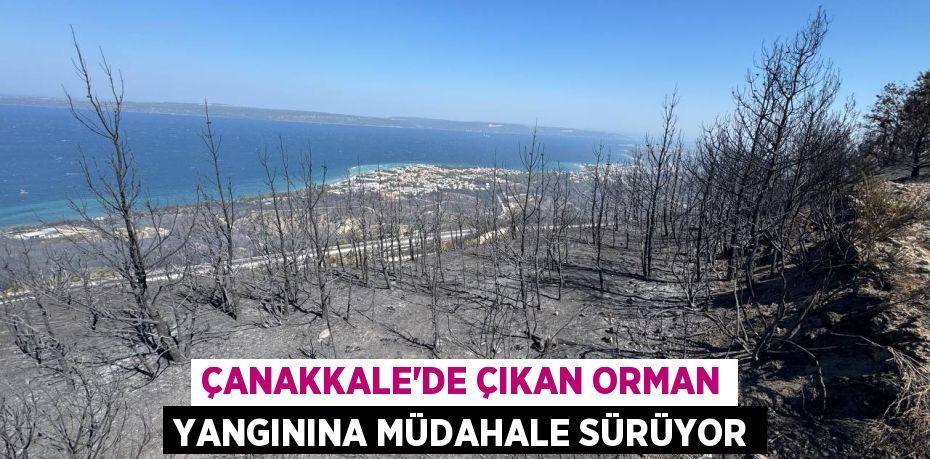 ÇANAKKALE'DE ÇIKAN ORMAN YANGININA MÜDAHALE SÜRÜYOR