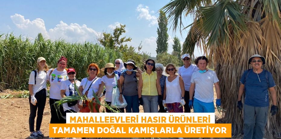 MAHALLEEVLERİ HASIR ÜRÜNLERİ TAMAMEN DOĞAL KAMIŞLARLA ÜRETİYOR