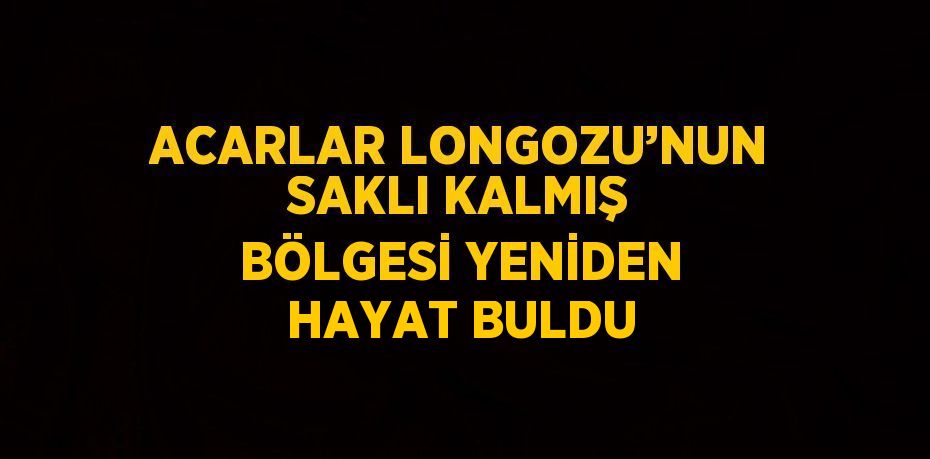 ACARLAR LONGOZU’NUN SAKLI KALMIŞ BÖLGESİ YENİDEN HAYAT BULDU