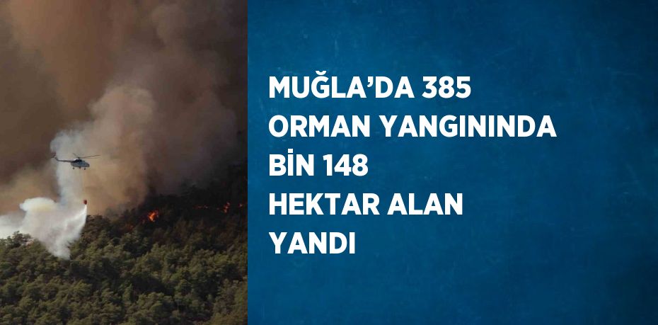 MUĞLA’DA 385 ORMAN YANGININDA BİN 148 HEKTAR ALAN YANDI