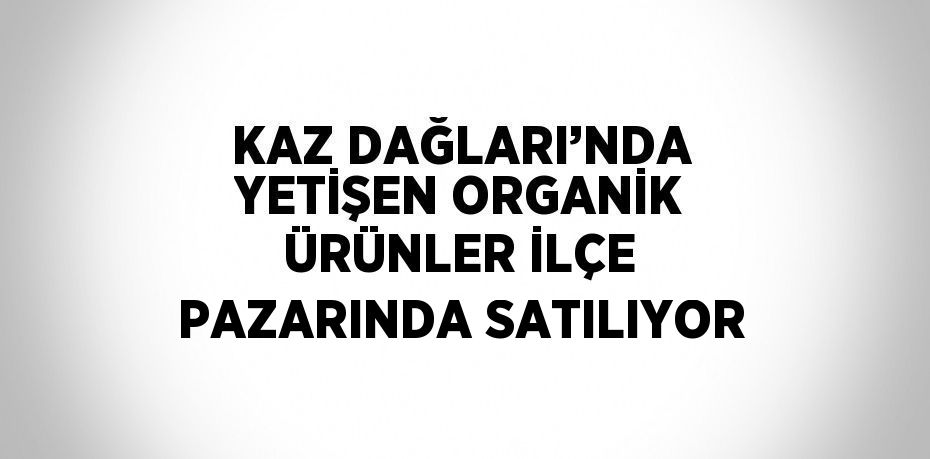 KAZ DAĞLARI’NDA YETİŞEN ORGANİK ÜRÜNLER İLÇE PAZARINDA SATILIYOR