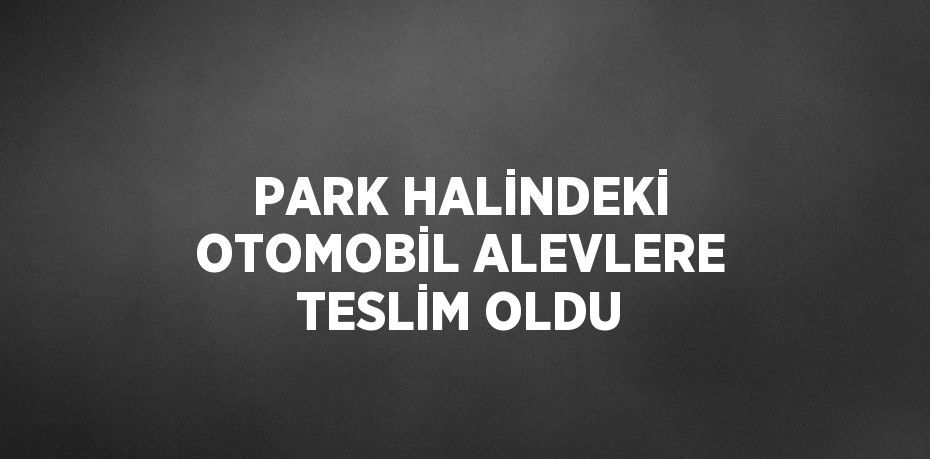 PARK HALİNDEKİ OTOMOBİL ALEVLERE TESLİM OLDU