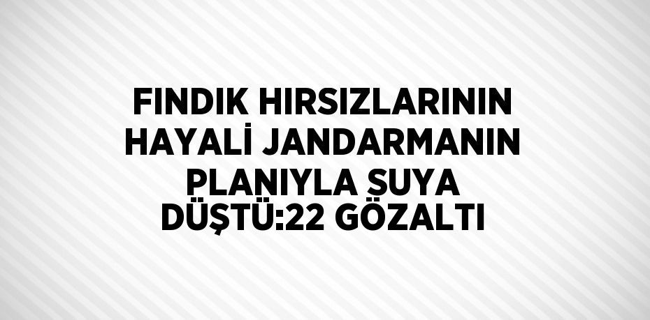 FINDIK HIRSIZLARININ HAYALİ JANDARMANIN PLANIYLA SUYA DÜŞTÜ:22 GÖZALTI