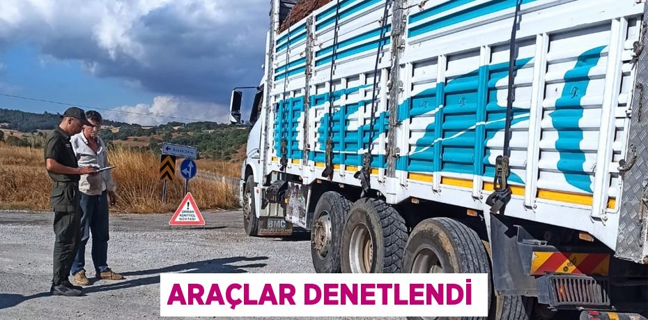 ARAÇLAR DENETLENDİ