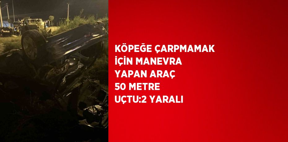 KÖPEĞE ÇARPMAMAK İÇİN MANEVRA YAPAN ARAÇ 50 METRE UÇTU:2 YARALI