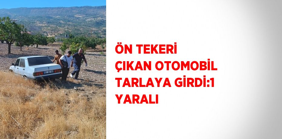 ÖN TEKERİ ÇIKAN OTOMOBİL TARLAYA GİRDİ:1 YARALI