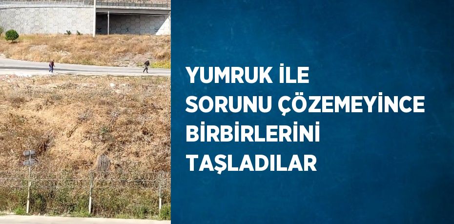 YUMRUK İLE SORUNU ÇÖZEMEYİNCE BİRBİRLERİNİ TAŞLADILAR