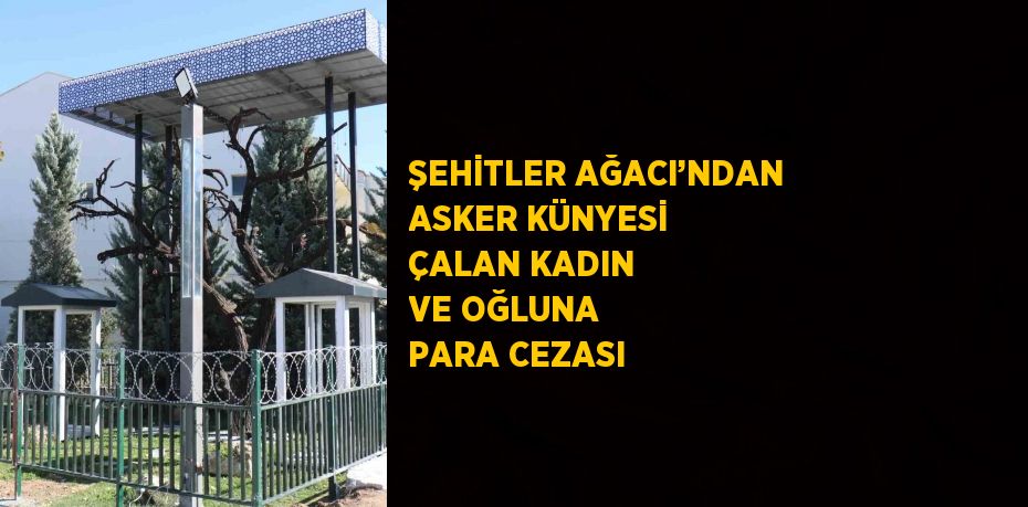 ŞEHİTLER AĞACI’NDAN ASKER KÜNYESİ ÇALAN KADIN VE OĞLUNA PARA CEZASI