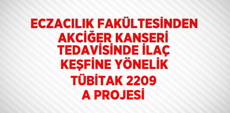 ECZACILIK FAKÜLTESİNDEN AKCİĞER KANSERİ TEDAVİSİNDE İLAÇ KEŞFİNE YÖNELİK TÜBİTAK 2209 A PROJESİ