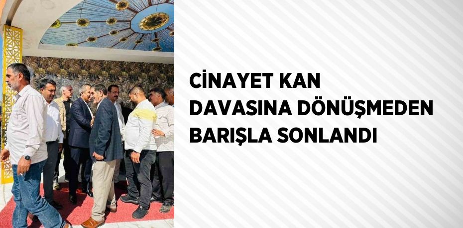 CİNAYET KAN DAVASINA DÖNÜŞMEDEN BARIŞLA SONLANDI