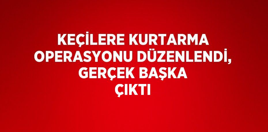 KEÇİLERE KURTARMA OPERASYONU DÜZENLENDİ, GERÇEK BAŞKA ÇIKTI