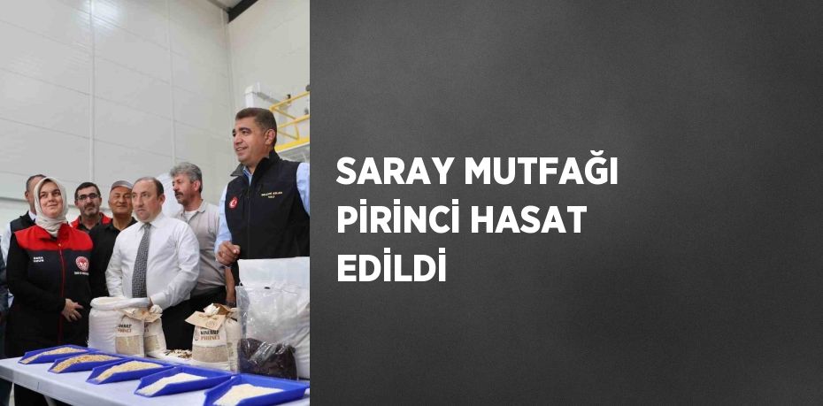 SARAY MUTFAĞI PİRİNCİ HASAT EDİLDİ