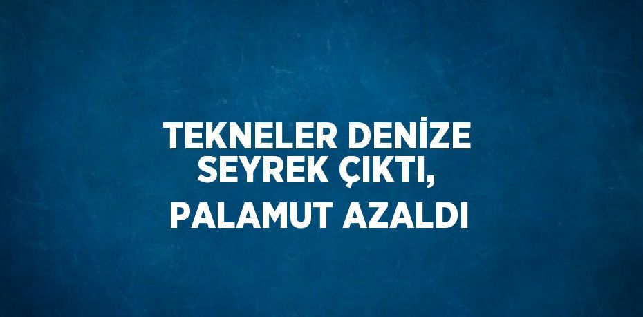 TEKNELER DENİZE SEYREK ÇIKTI, PALAMUT AZALDI