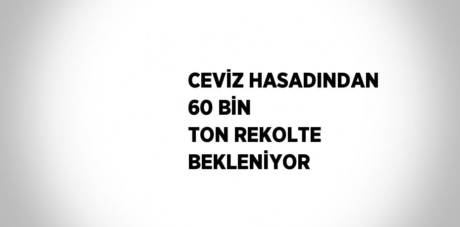 CEVİZ HASADINDAN 60 BİN TON REKOLTE BEKLENİYOR