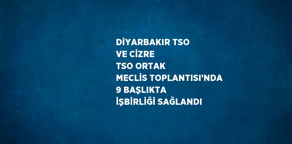 DİYARBAKIR TSO VE CİZRE TSO ORTAK MECLİS TOPLANTISI’NDA 9 BAŞLIKTA İŞBİRLİĞİ SAĞLANDI