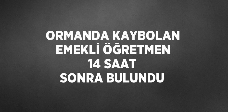 ORMANDA KAYBOLAN EMEKLİ ÖĞRETMEN 14 SAAT SONRA BULUNDU