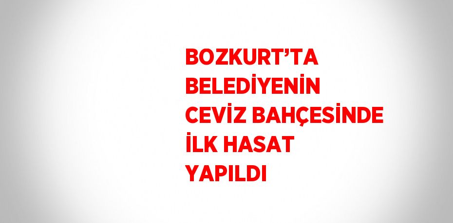 BOZKURT’TA BELEDİYENİN CEVİZ BAHÇESİNDE İLK HASAT YAPILDI