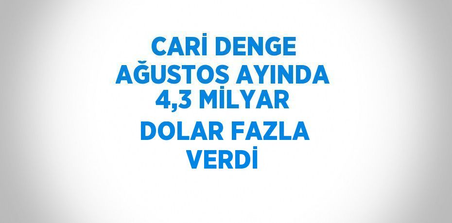 CARİ DENGE AĞUSTOS AYINDA 4,3 MİLYAR DOLAR FAZLA VERDİ