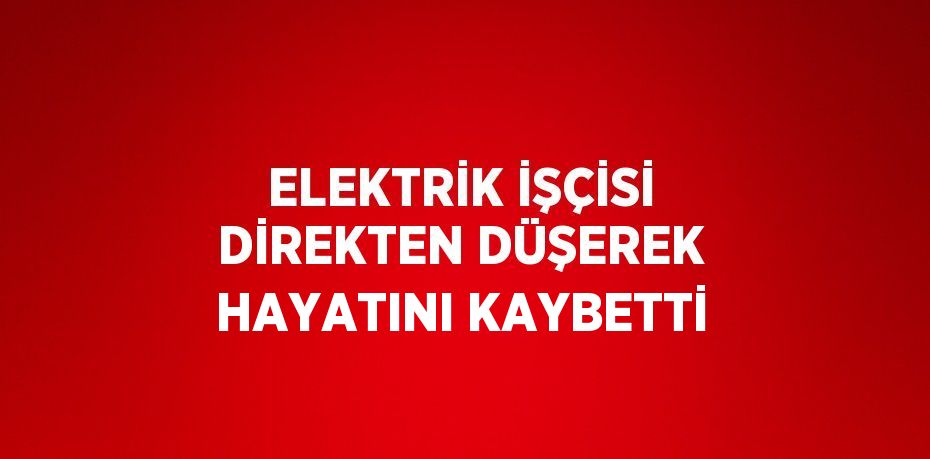 ELEKTRİK İŞÇİSİ DİREKTEN DÜŞEREK HAYATINI KAYBETTİ