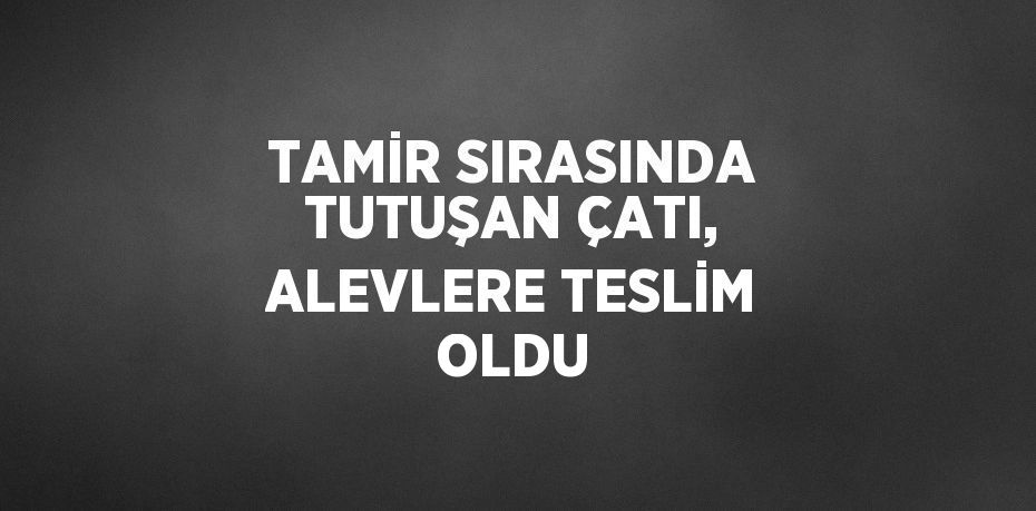 TAMİR SIRASINDA TUTUŞAN ÇATI, ALEVLERE TESLİM OLDU