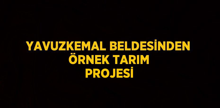 YAVUZKEMAL BELDESİNDEN ÖRNEK TARIM PROJESİ