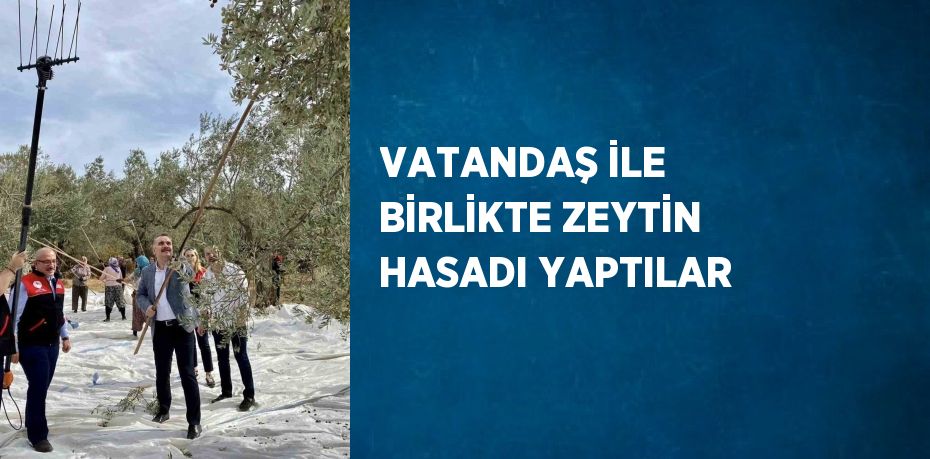 VATANDAŞ İLE BİRLİKTE ZEYTİN HASADI YAPTILAR